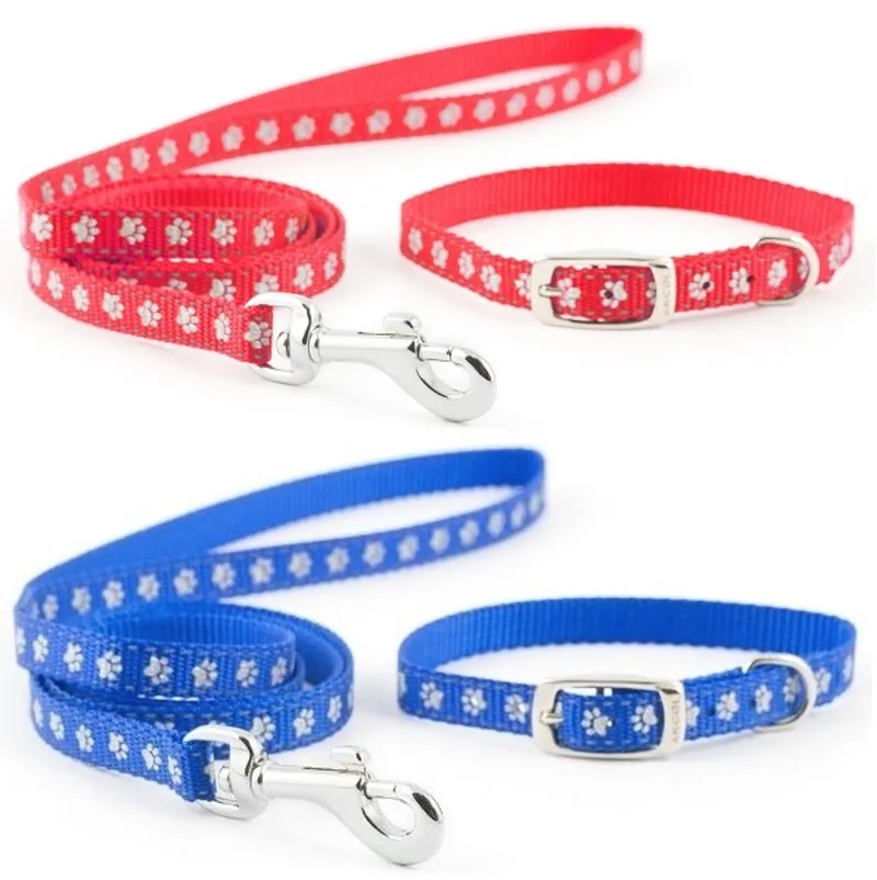 Small Bite Nylon Refl Collar Lead Set R